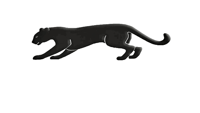 loader image