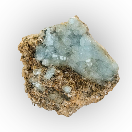 Aquamarin Super Nova