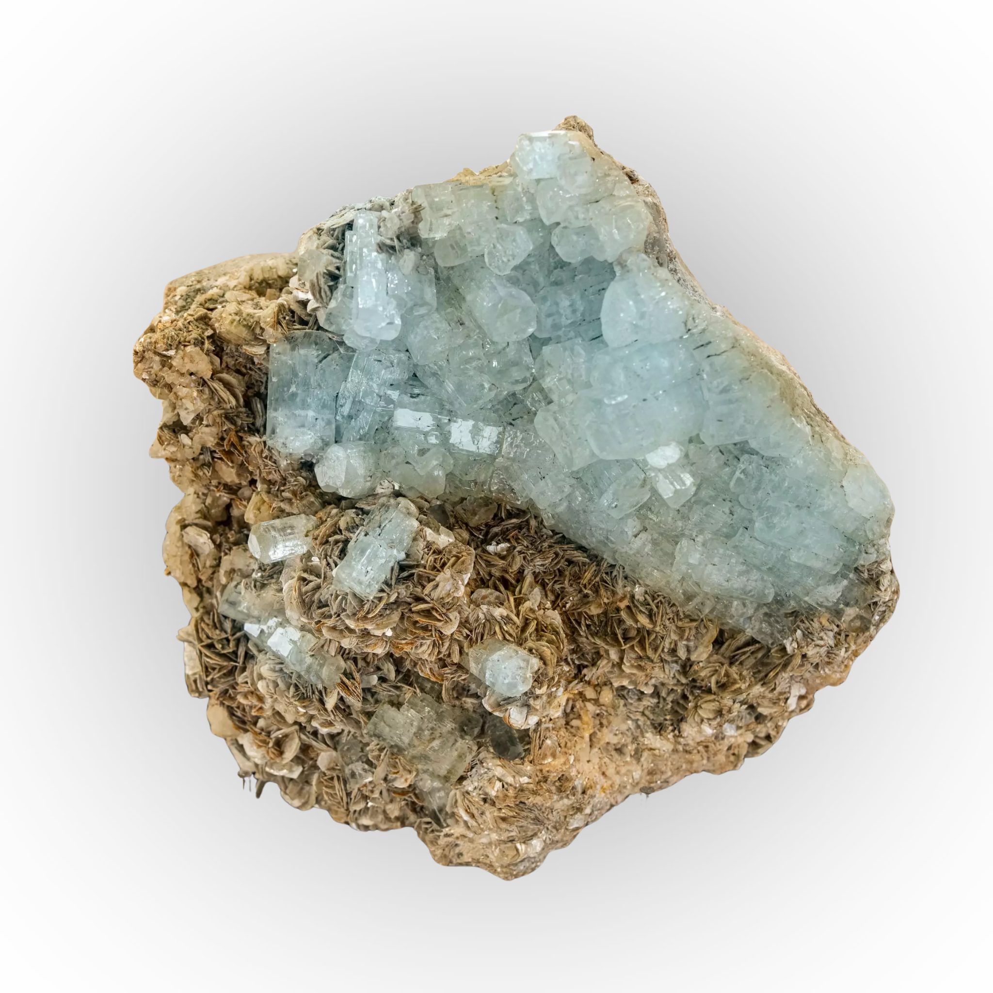 Mineral Aquamarin auf Muttergestein mit Muskovit - Super Nova